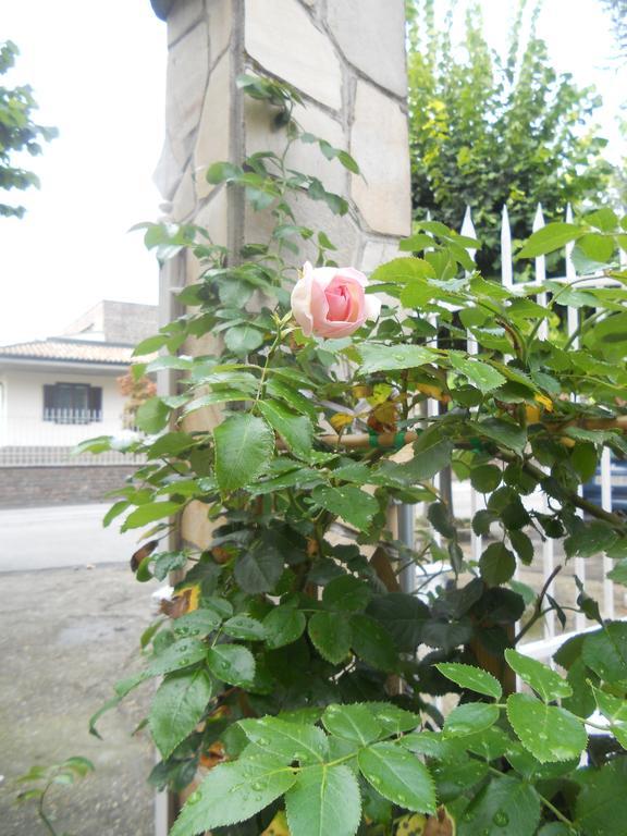 Beb Villa Aurora Carmagnola Zewnętrze zdjęcie